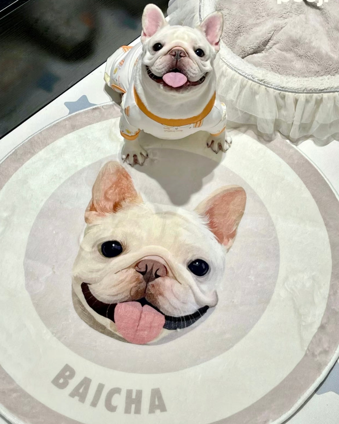 Timeless Pet Portrait Rug