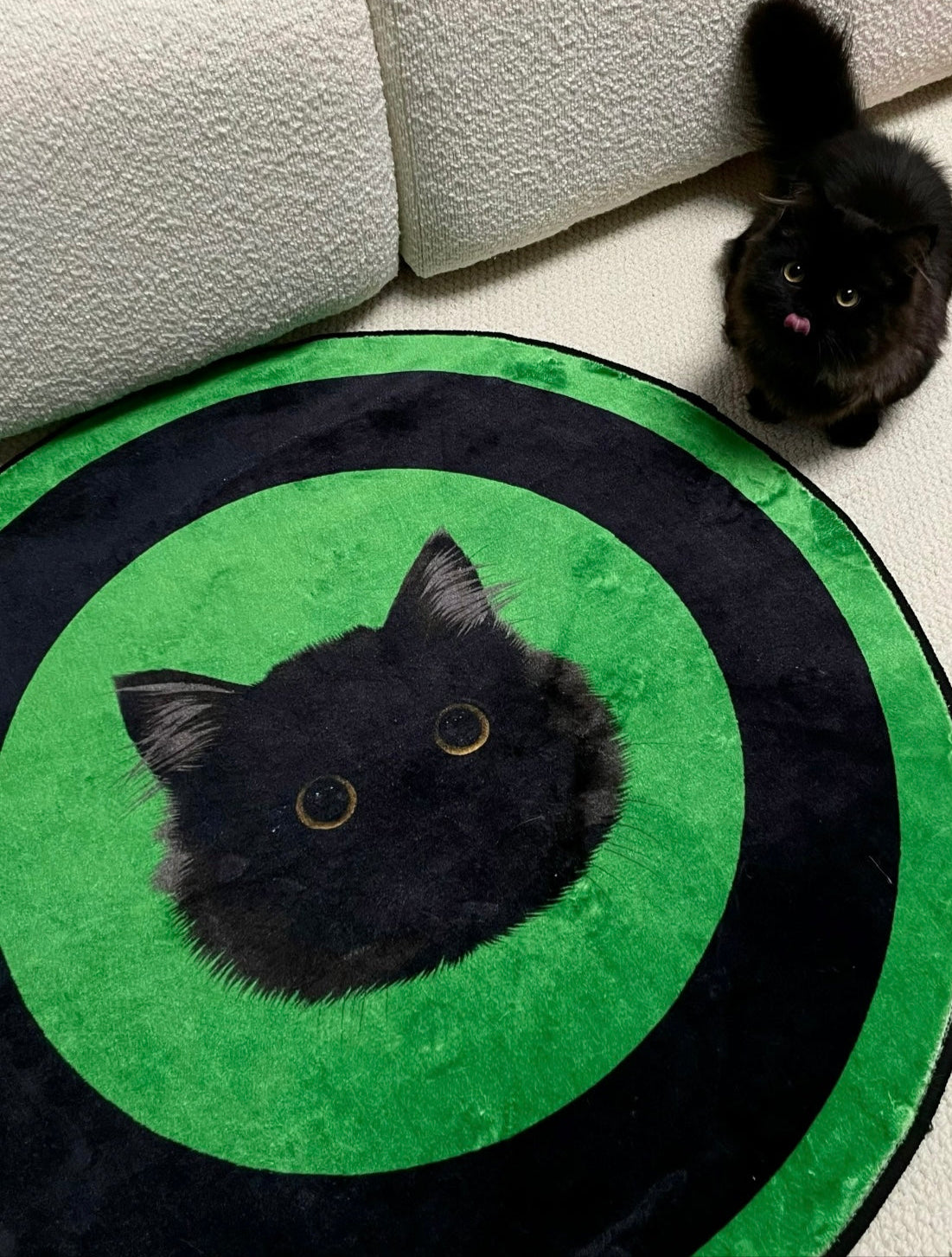 Timeless Pet Portrait Rug