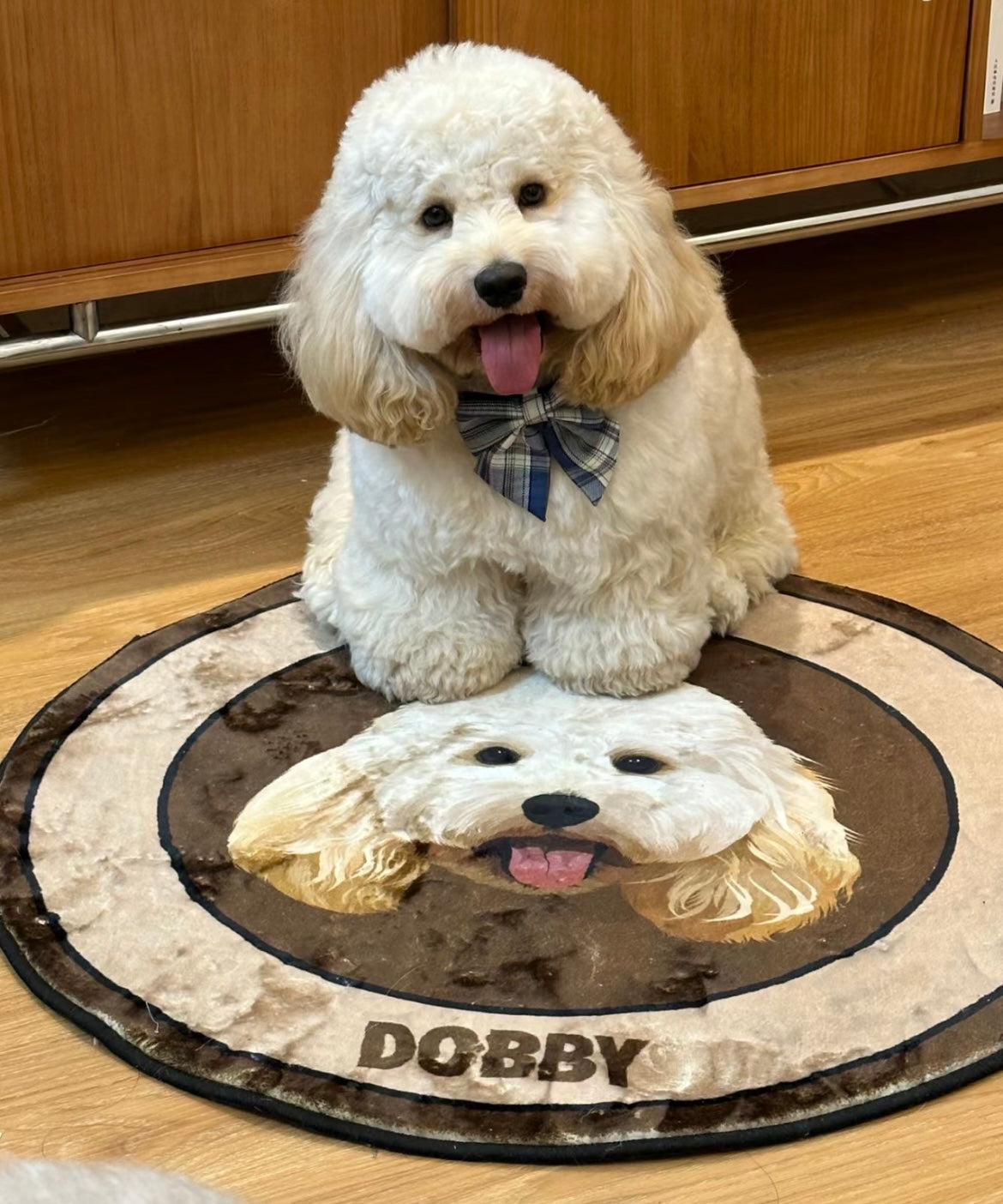 Timeless Pet Portrait Rug