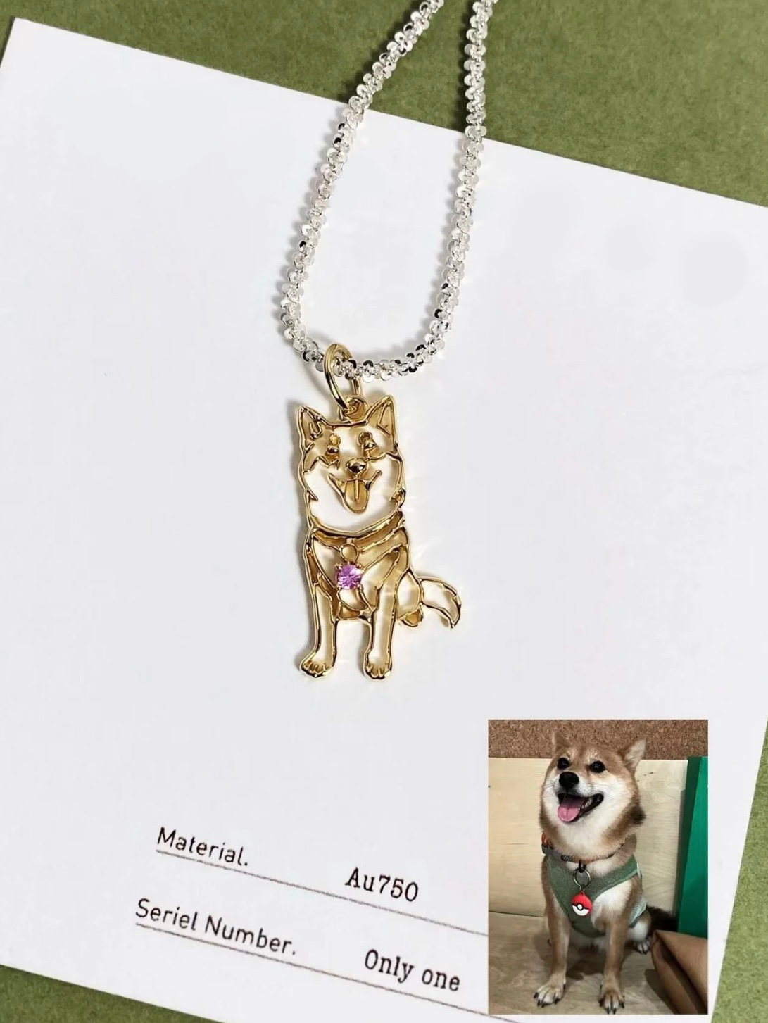18K Gold Pet Portrait Necklace