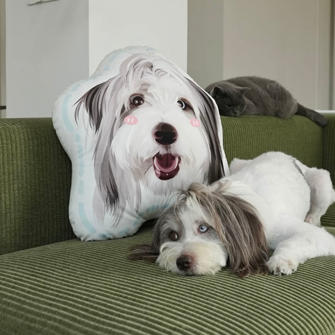 Velvet Pet Portrait Pillow