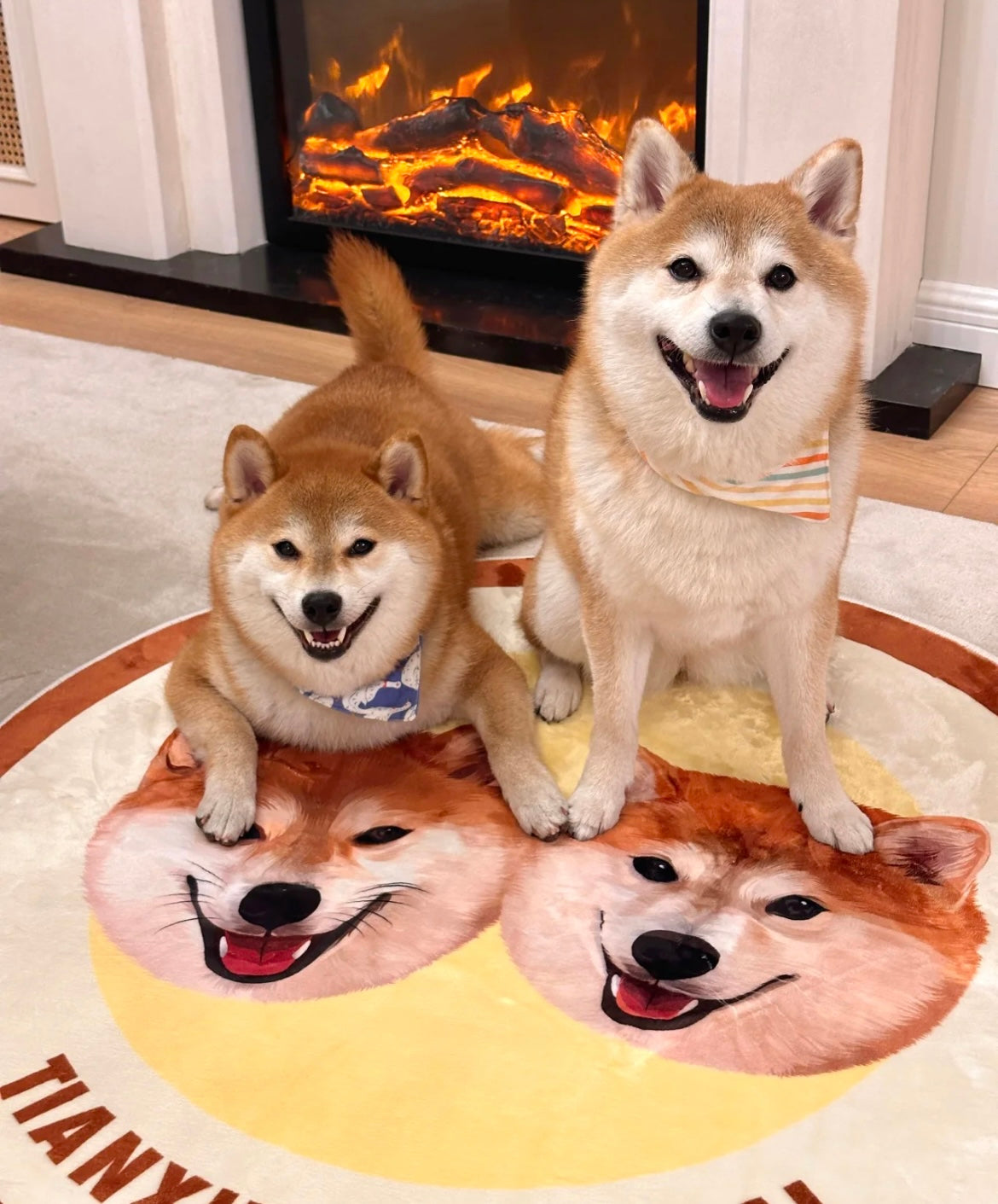 Timeless Pet Portrait Rug