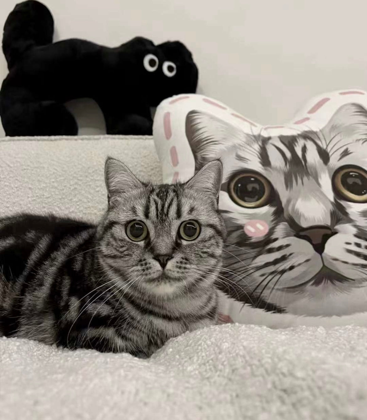 Velvet Pet Portrait Pillow